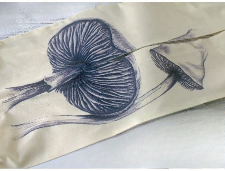 Sketch Mushroom Tights